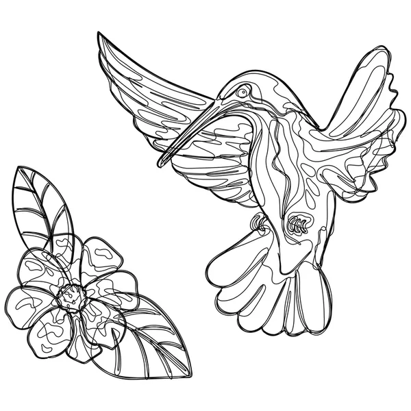 Abstract Artistic Hummingbird And Flower Line Art — vector para corte láser